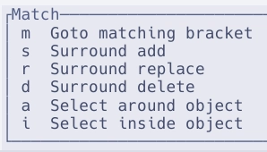 Screenshot of Helix with the Match box giving options to goto the matching bracket with the hotkey, and more.
